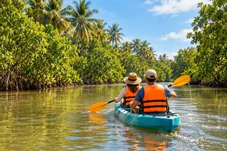 Illustration: Paddling on the Cua Can River